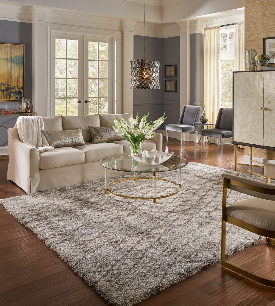 Area Rugs Inspiration Gallery | Yetzer Home Store