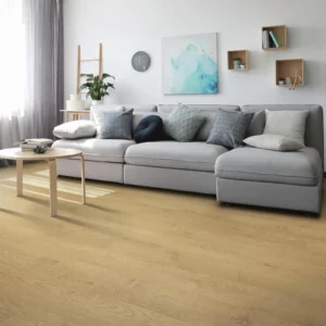 Living room laminate flooring | Yetzer Home Store