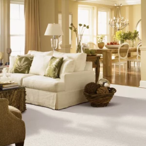 Living room carpet | Yetzer Home Store