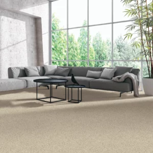Carpet flooring | Yetzer Home Store