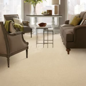 Carpet | Yetzer Home Store