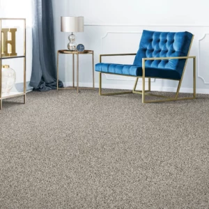 Grey carpet | Yetzer Home Store