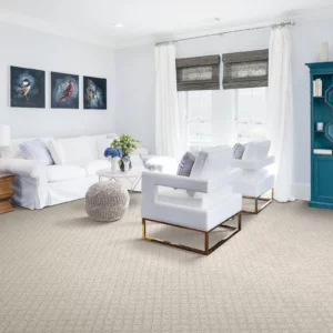Living room carpet | Yetzer Home Store
