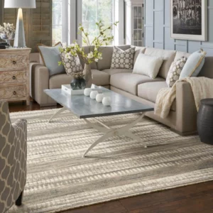 Living room rug | Yetzer Home Store