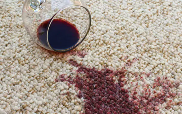 Carpet cleaning | Yetzer Home Store