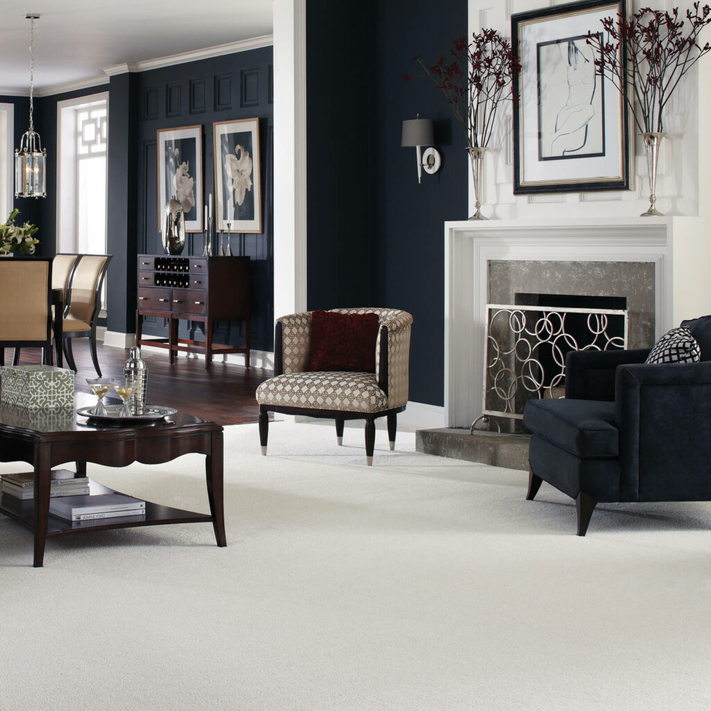 Best carpet for living room | Yetzer Home Store