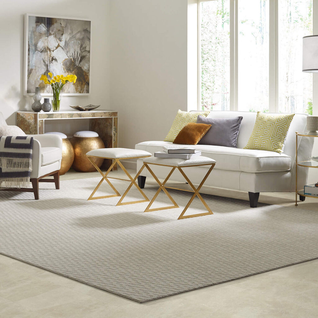 Living room rug | Yetzer Home Store