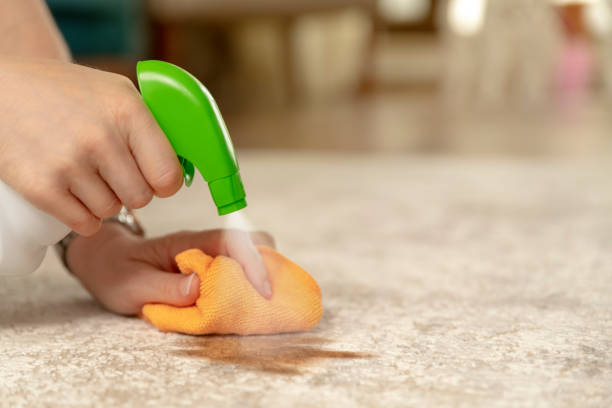 Care For Tough Carpet Stains | Yetzer Home Store