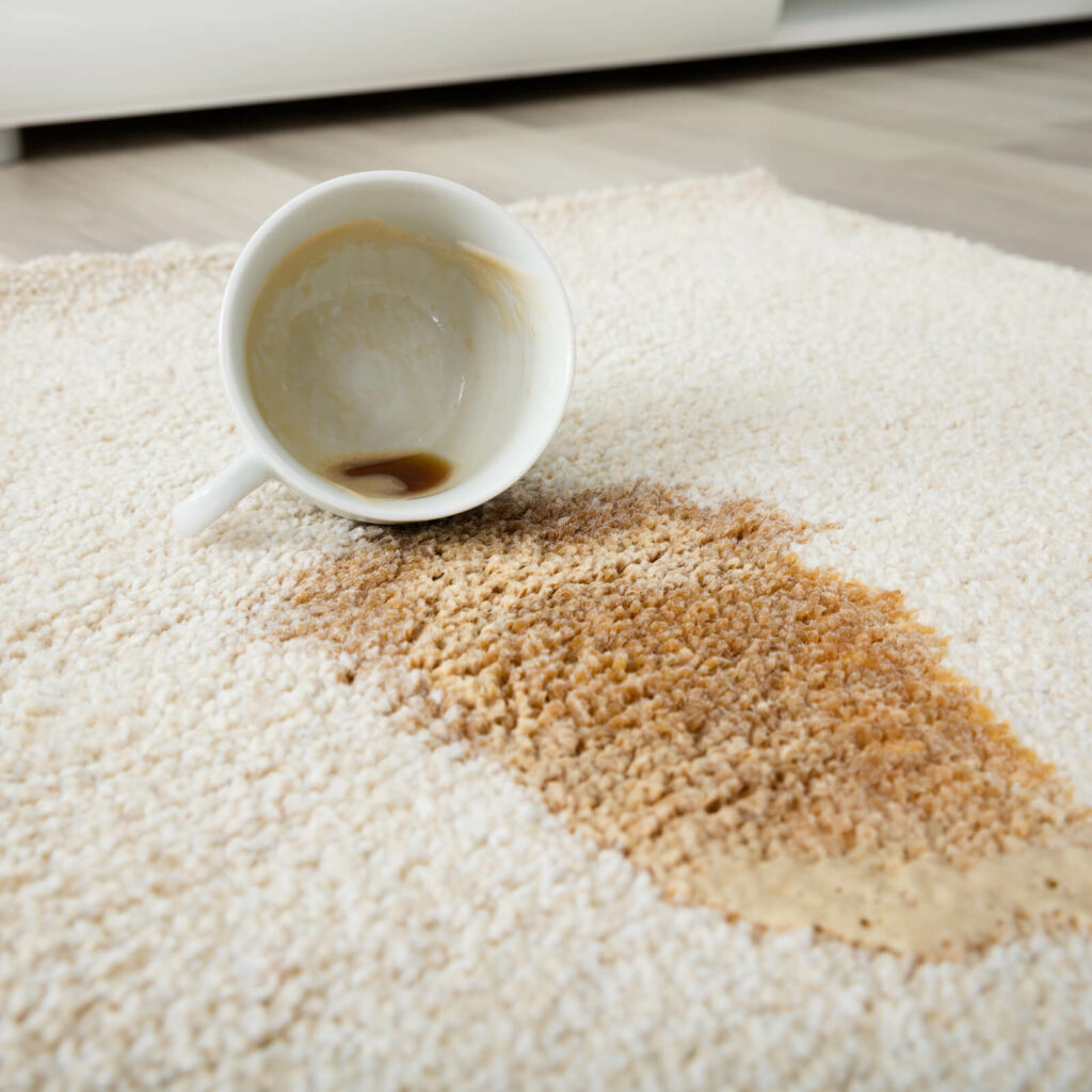 Rug cleaning | Yetzer Home Store