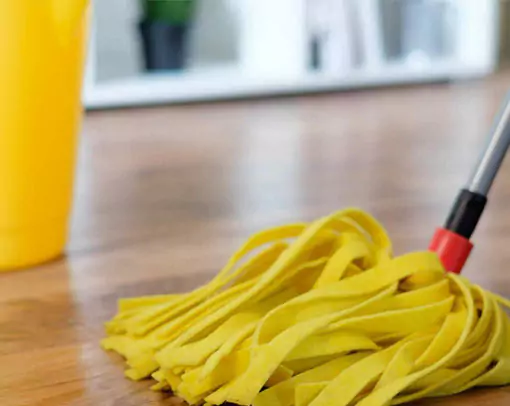 vinyl-daily-care Vinyl floor cleaning | Yetzer Home Store