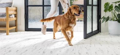 flooring flooring | Yetzer Home Store